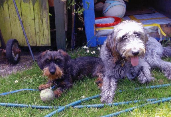jennyfuramy's tweet image. Me n pops on sunnier day...fink I'll ave da ball as u put it down poppy #2secondrule !!