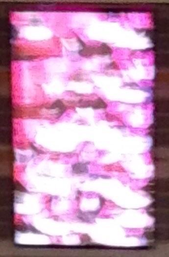 Seeing Seers tweet media