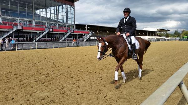 RRP_TBMakeover's tweet photo. Nuno Santos and Ken's Kitten,  proving how good #OTTBs can be at dressage. #tbmakeover http://t.co/zVUpR3R3xQ