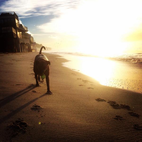 Watched the sun rise early this morning at the beach.