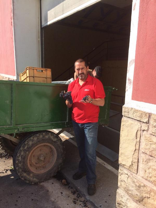 EusVan's tweet photo. Estreno #navarra bodega casa de luculo cosechando garnachas atlanticAs juan glaria http://t.co/NrMzkPpKrg