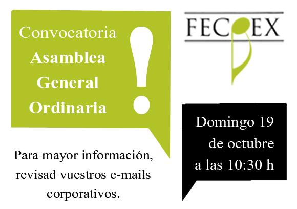 InfoFecoex's tweet photo. Convocatoria Asamblea Ordinaria FECOEX http://t.co/VEq7NXNy2d