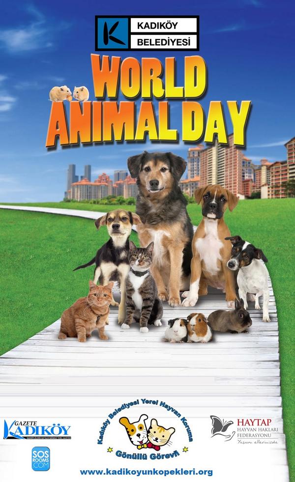 #hayvan #hayvansever #sokakhayvanı #sokakköpeği #sokakkedisi #köpek #kedi #animal #kadiköy #türkiye #istanbul