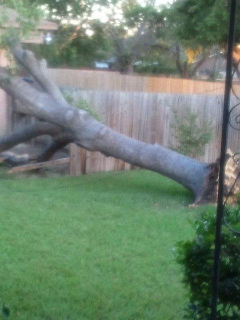 power line to pole broke -  will restore 3 days ago - still waiting- throwing out food - come by 934oakparkdr
