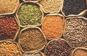 IntegralDeli's tweet image. Os grãos são ótimos aliados na perda de peso e para manter a saúde em dia. Saiba por quê em blog.integraldeli.com.br