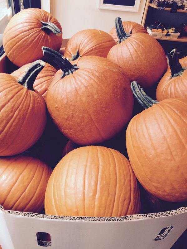 myautumn_ru's tweet image. посчитаем?
myautumn.ru#осень #autumn