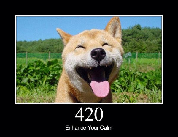 Funny 420 on Twitter: 