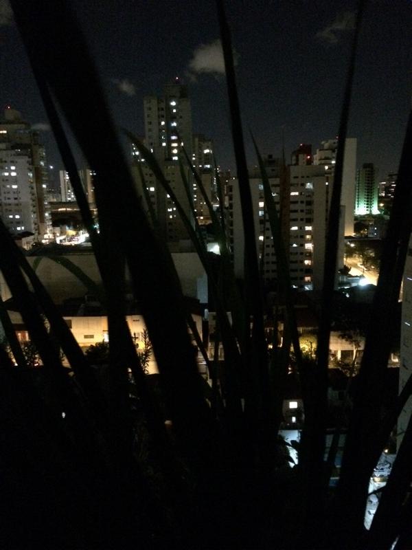 leonardo  favero tweet media