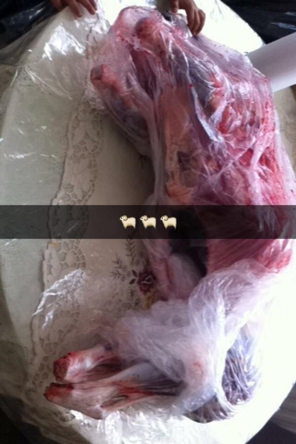 TarikEH_'s tweet photo. En fijne dierendag nog ! http://t.co/XTuAXa5FVY