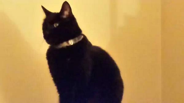 JuliaScott72's tweet photo. @TinafromFlorida @preciousface don't let my Lennox c this pic - he might leave me 4 her http://t.co/3Pq8H48OQM