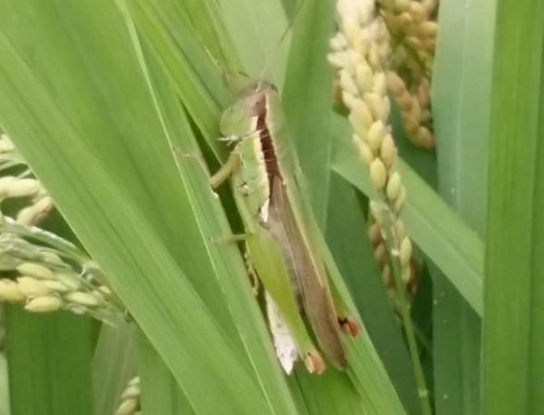 트친님들 행복한시간되세요