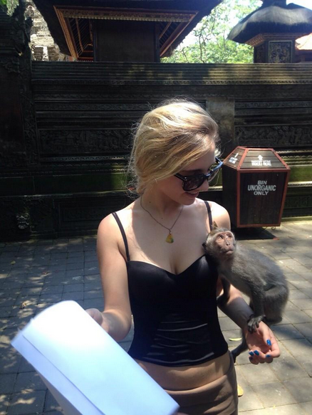 Permalink gambar yang terpasang