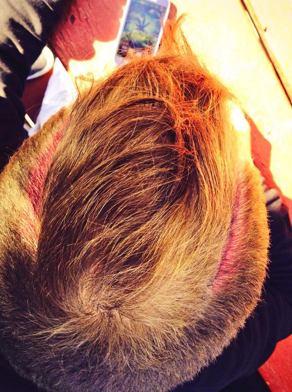 Ibejessew's tweet photo. Died my hair😭😂💪 http://t.co/BhLjQDdynQ