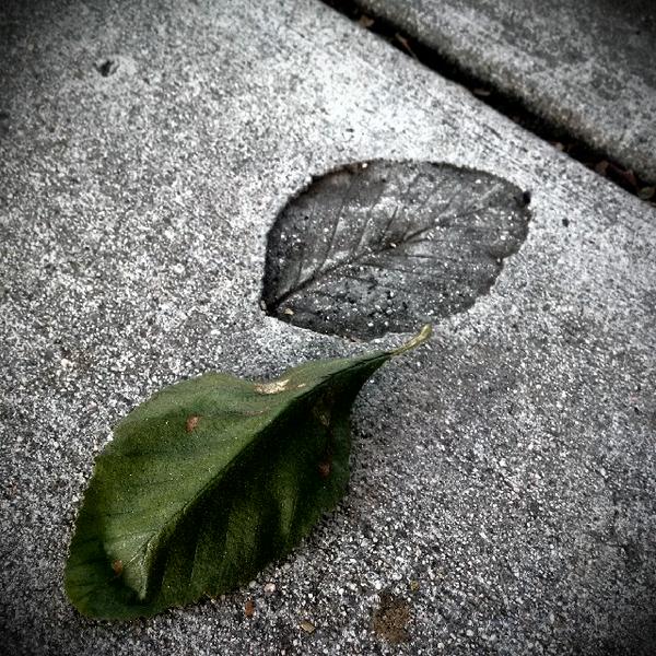 rolanddenzel's tweet image. #urbanfossil