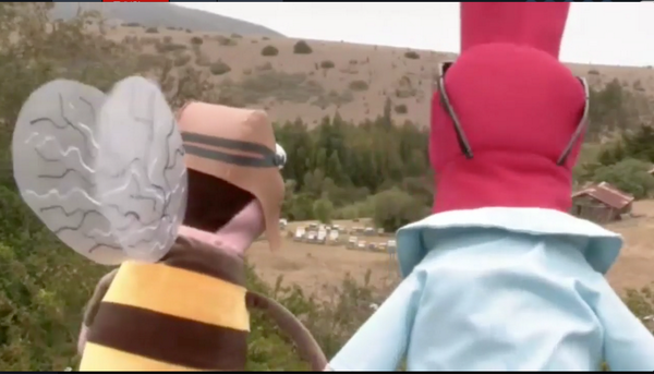 TVN's tweet image. ¿Por qué debemos cuidar #LasAbejas? Aprende ahora junto a la nota verde de #JuanCarlosBodoque en #31Minutos