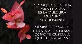 Jorge  Rivas U tweet media