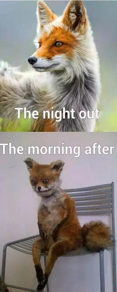 CatzWithGlasses's tweet photo. True story http://t.co/EGnfD9i0kI