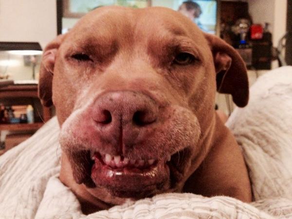 WhoDatJB1's tweet image. #ShowUsYourPits