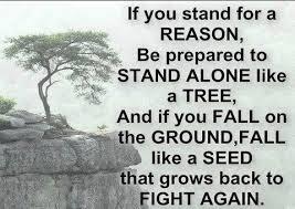 lanibrucelexbel's tweet photo. 👍👌 http://t.co/bB4rq0f4IA