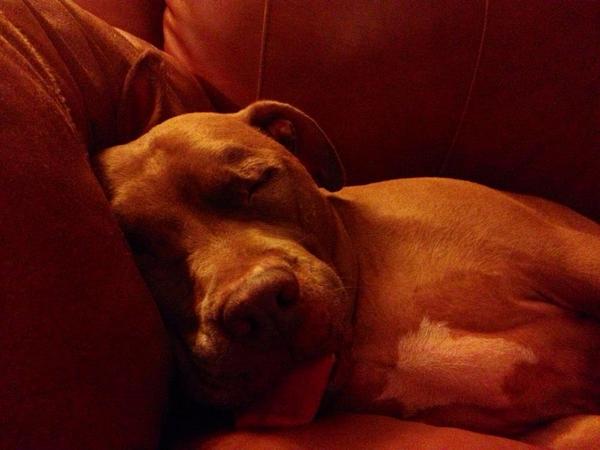 WhoDatJB1's tweet image. #ShowUsYourPits