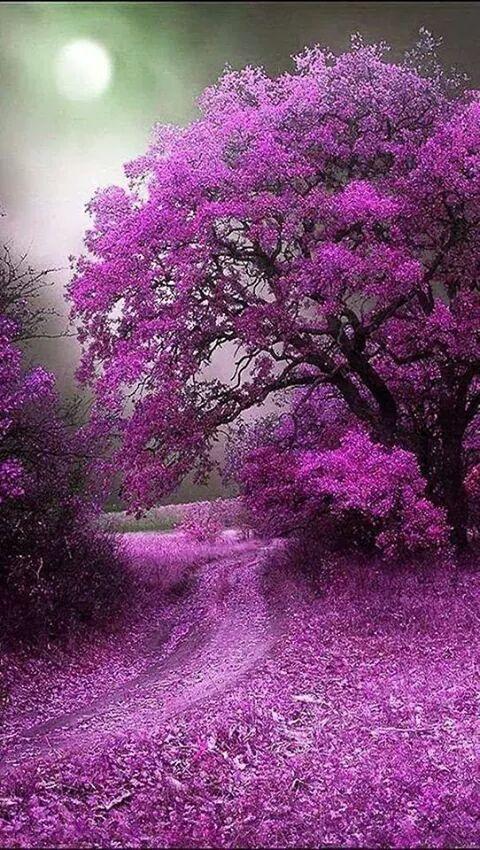 Madhusudan222's tweet image. @sk_lnsdwn @DivineSoulAmit @ScorpionsRBest