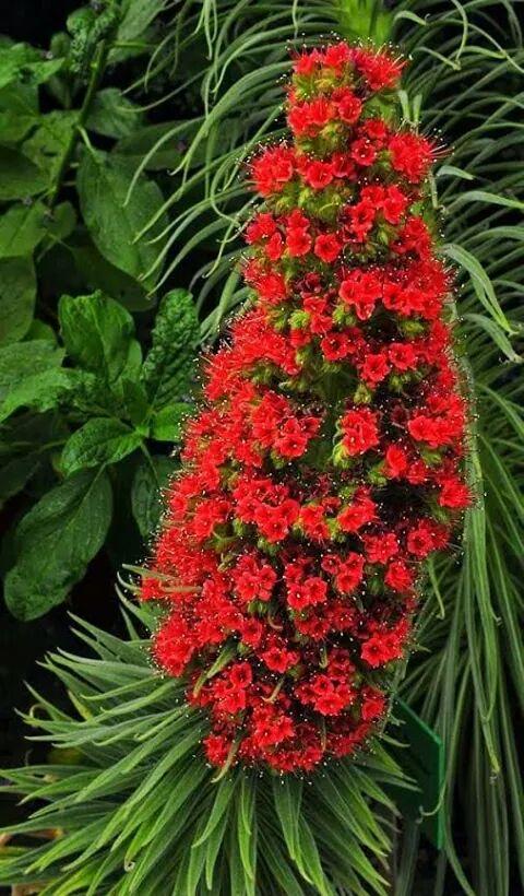 Madhusudan222's tweet image. @sk_lnsdwn @DivineSoulAmit @ScorpionsRBest