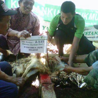 raziqaskari's tweet photo. Live Sukabumiii.. makin penasaran nih hewan  kurban kita dah landing dmana? :) @tebarkurban #PIC_THK2014 http://t.co/ypZDVbLcW7