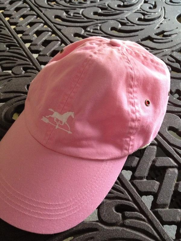 1Angelalanni's tweet image. Can&apos;t sleep, excited to help out today at the #SupportConnection #Walk2014  in #YorktownNY  #SAW @TheHudsonValley