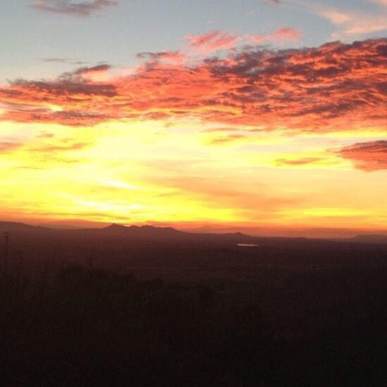 Sara Górgolas tweet media