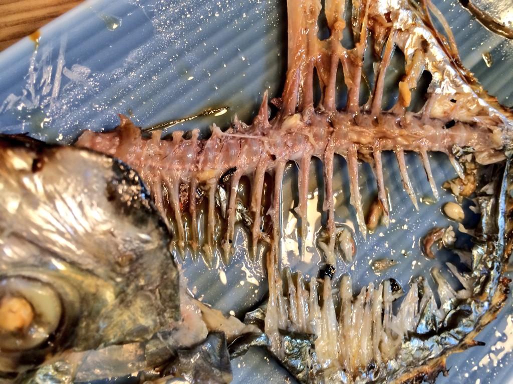 森田釣竿 V Twitter イトヒキアジの身離れの良さはサンマに負けない しかし シブい 実にシブい 骨格を眺めながら 一噛み一噛み確かめながら味わうのが楽しい 魚好きにはたまらん Http T Co 1slgpvjdr8 Twitter