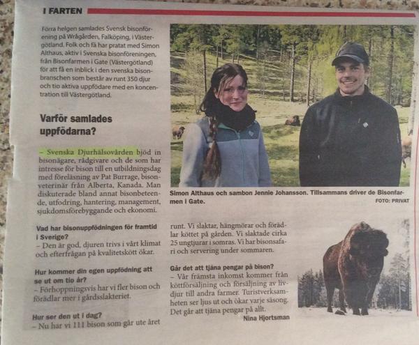 sdimander's tweet image. Även bison behöver förebyggande djurhälsovård. Självklart tar vi på SvDHV ansvar även för bison.