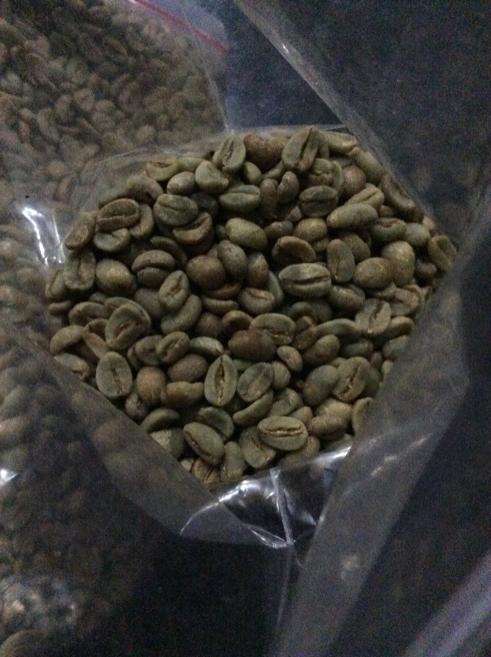Siap di roasting lagi....java arabica ciwidey