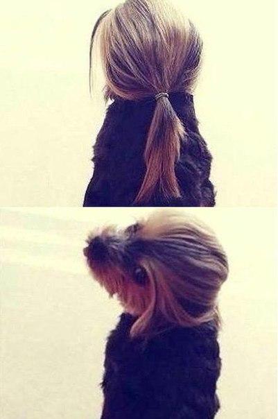 Вас девушек не понять. Вас девушек не понять. Картинки с намеками для девушек. Как понять женщину книга никак. Смирись я женщина.