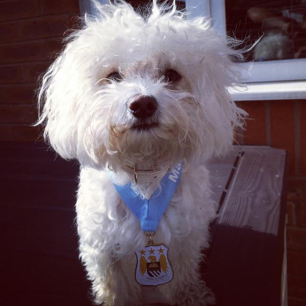 Scrappy_Oleg's tweet photo. Scrappy is very pleased with his medal for his football skills from MCFC - City in the Community @foglanepark http://t.co/AlodcpZFgt