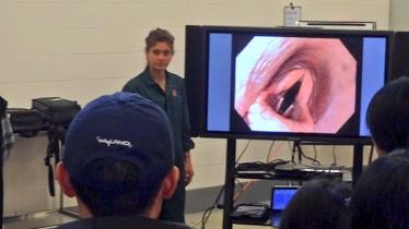 What is THAT!? 

It's a horse larynx!! #endoscope #vetucan2014