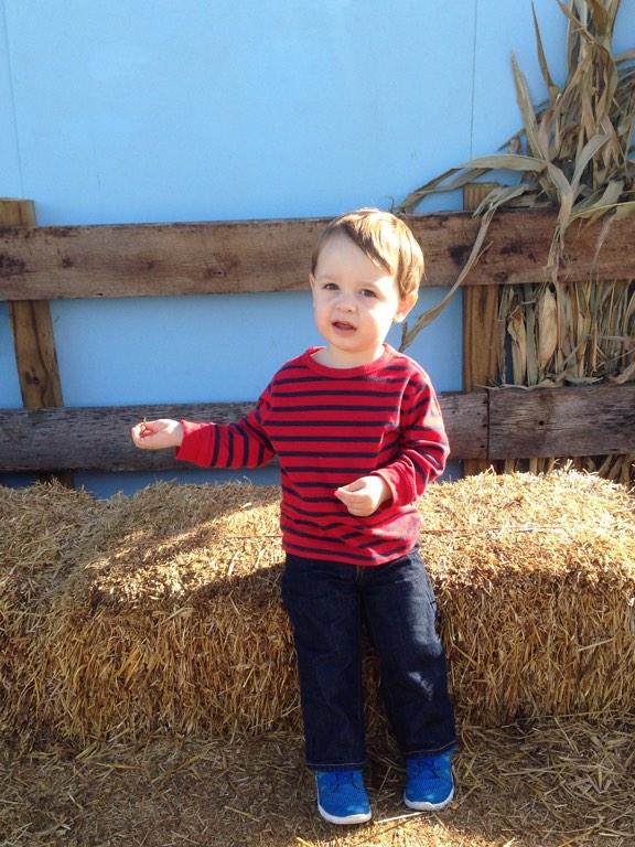 Carson_JamesTHO's tweet photo. momme is all lyk carson smial 4 da pikchur &amp; im all lyk y am i sitteen on hay tho? http://t.co/GsEozLMzeA