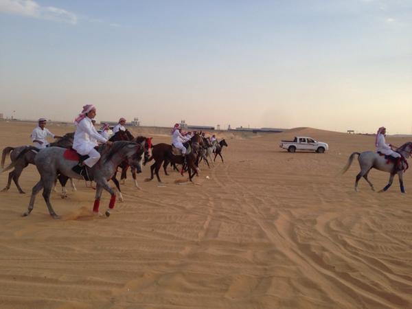 طارق بن خلف الهذيل tweet media