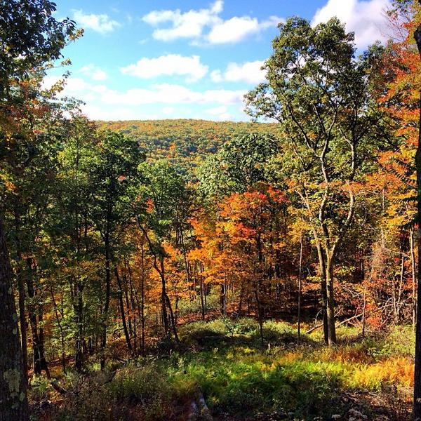ComfortInnPM's tweet photo. http://t.co/XsTBCX1Sgo #fall foliage #poconomountains