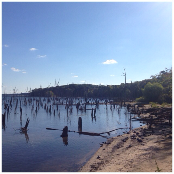 MichelePaul_'s tweet image. Beautiful morning for a run! #jgssm  I just ran 7.02 mi with Nike+. go.nike.com/02rj1rk6 #nikeplus