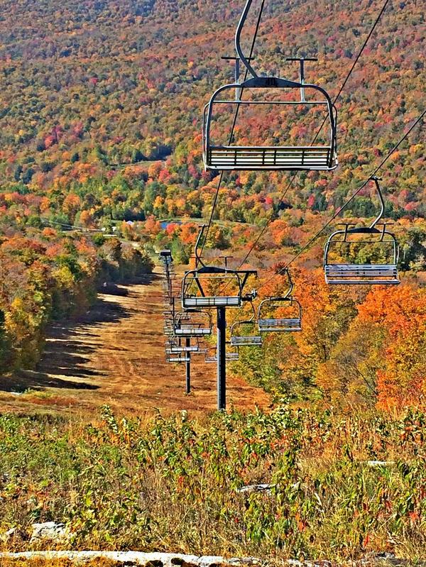 myautumn_ru's tweet image. #осень #autumn #fall 
myautumn.ru