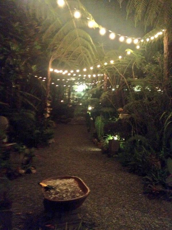 El camino del amor de <a href="/catyvillota/">Catherine Villota</a>