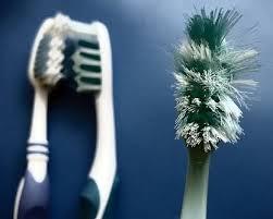 TalkDental's tweet photo. Is it time to get a new toothbrush? http://t.co/9iR0R3D2xA