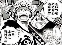 ハートの海賊団のメンバー一覧 ローの仲間をまとめてみた やあ 僕の漫画日記