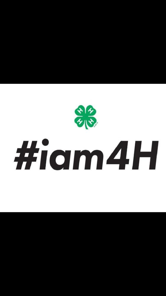 OK4HAmbassadors tweet media
