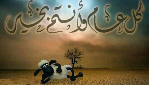 rotiking2's tweet photo. http://t.co/p3UWO5Yd9r