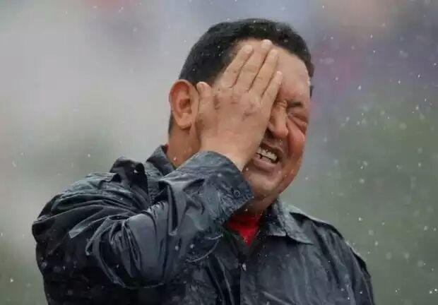 Ver imagen en Twitter Ver imagen en Twitter