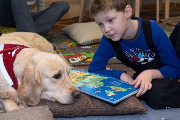 BarkMachine's tweet image. Reading To Dogs Can Help Shy Kids 
thesudburystar.com/2014/10/05/rea…