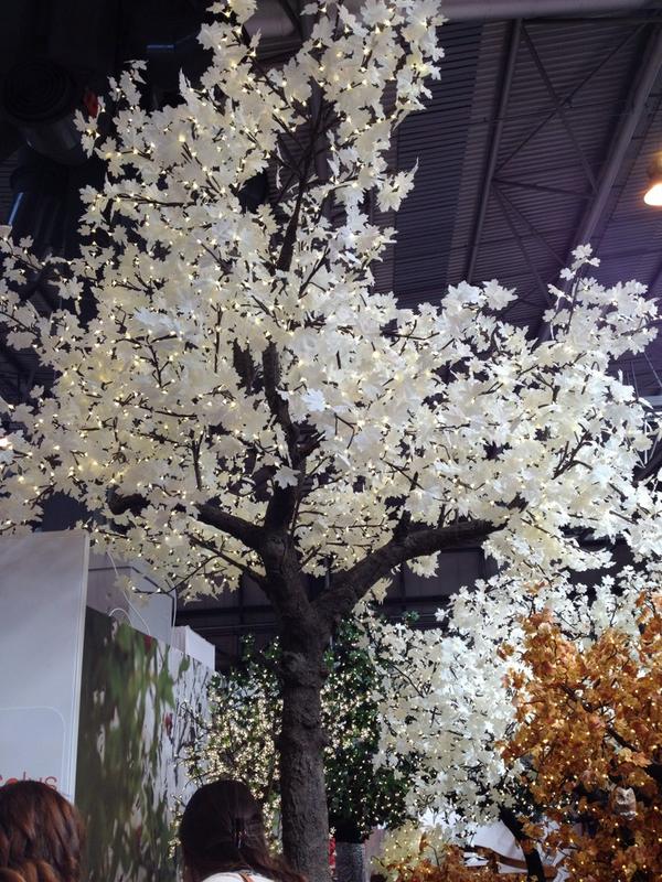 SophieHearts_PW's tweet image. Absolutely magical @SolusL