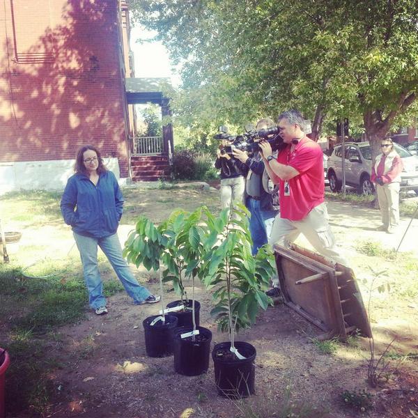 TGEast's tweet image. Planting our #plant4peacestl trees with the local media. #iloveTGE