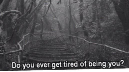 SuicidalBitch6's tweet image. alllll the timeeee :(